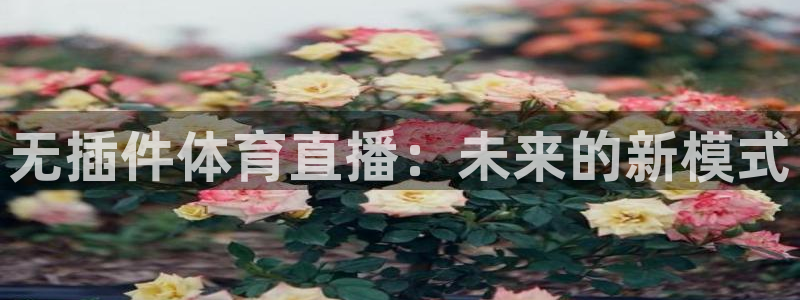 斗球体育主播：无插件体育直播：未来的新模式