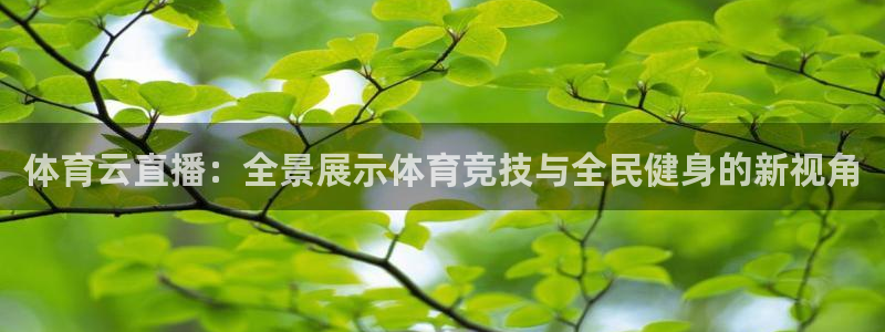 斗球app下载安卓：体育云直播：全景展示体育竞技与全民健身的新视角