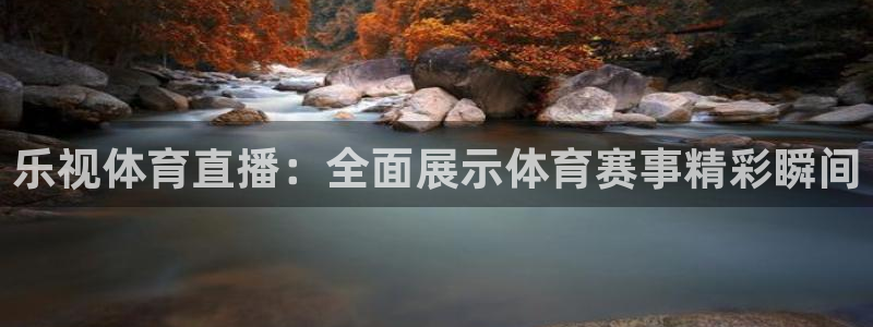 斗球直播网站：乐视体育直播：全面展示体育赛事精彩瞬间