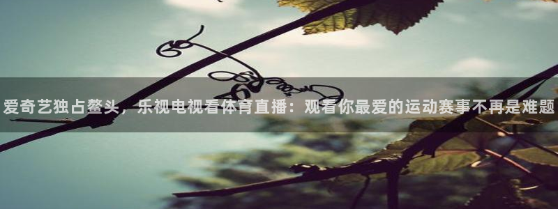 斗球体育直播苹果app下载：爱奇艺独占鳌头，乐视电视看体育直播：观看你最爱的运动赛事不再是难题