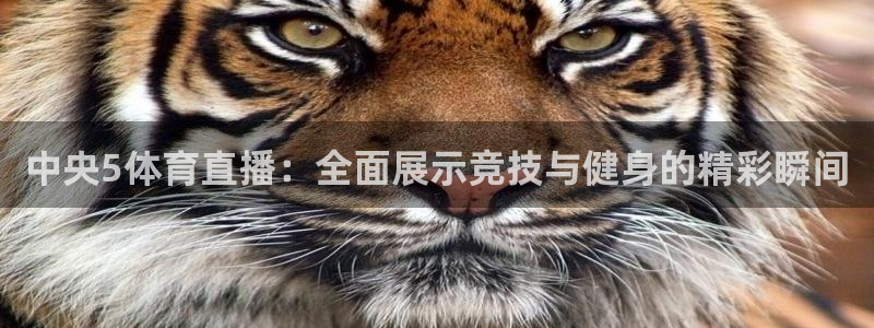 斗球体育官网入口：中央5体育直播：全面展示竞技与健身的精彩瞬间