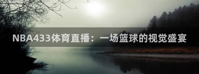 斗球体育直播nba：NBA433体育直播：一场篮球的视觉盛宴