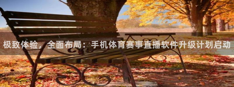 斗球直播网页：极致体验，全面布局：手机体育赛事直播软件升级计划启动