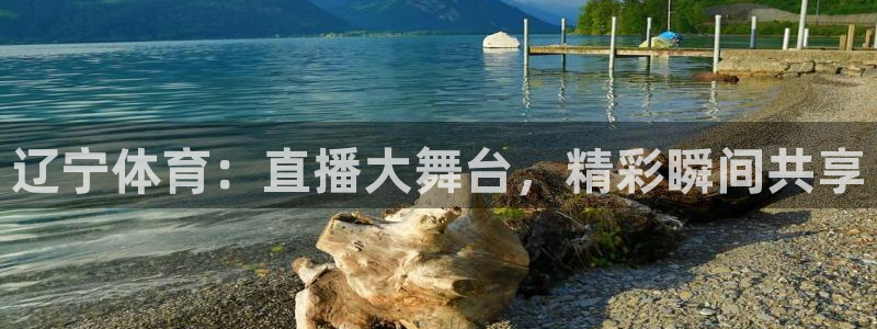 斗球直播nba免费观看下载：辽宁体育：直播大舞台，精彩瞬间共享