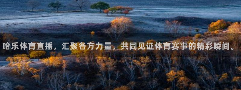 斗球app免费观看