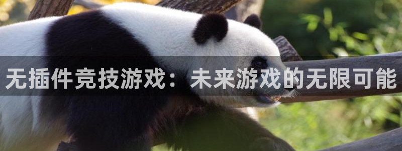 斗球直播在线观看nba：无插件竞技游戏：未来游戏的无限可能