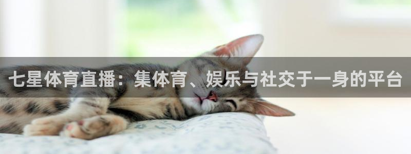 斗球体育在线观看nba：七星体育直播：集体育、娱乐与社交于一身的平台