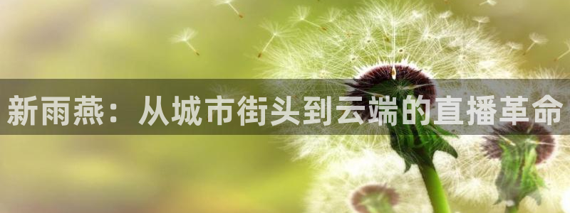 斗球体育app：新雨燕：从城市街头到云端的直播革命